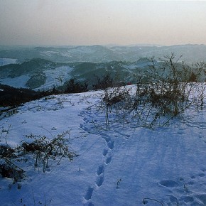 연천