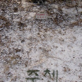 SAMSUNG DIGITAL CAMERA