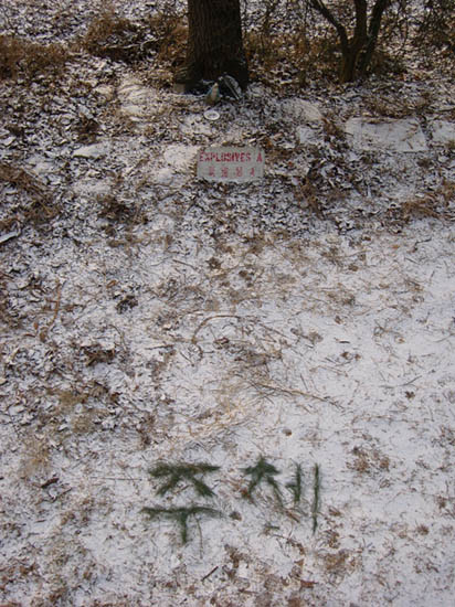 SAMSUNG DIGITAL CAMERA