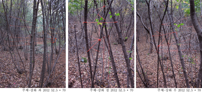 사진기발명 초기 조리개효과는 당시 압도적인 영향력을 미친 렘브란트미학이 적용된 결과였다. 렘브란트는 자화상을 단 하나의 점에 서야만 감상이 가능하도록 그렸다. 한순간에 단 한사람만이 감상할 수 있도록 한 것이다. 개인이란 주체에 맞는 형식을 창안한 것이다. 
 이 작업은 렘브란트형식을 다른 방법으로 재구성한 것이다. 각각의 선과 매듭은 나름대로의 꼭지점을 향하지만 단 한 점의 위치에서만 ‘주체’라는 글자를 구성한다. 그리고 한 걸음만 옆자리로 옮겨도 주체라는 글자는 의미를 알 수 없는 선과 매듭으로 해체된다. 역사 역시 각각이 지향하는 시간과 노력이 집약되는 하나의 순간에 주체를 구성한다. 1917년 2월에 레닌이 인식한 혁명의 기회가 그런 것이다. 그 기회는 독특하고 우연적인 상황들이 빚어낸 결과물이었다. 레닌의 성공은 이 순간을 포착한데 있었다.1)지젝은 말한다. 이러한 ‘순간의 몰아침’이 진정한 유토피아다.2)주체는 주어진 공식이나 합의나 절충의 산물이 아니다. 심지어 아무런 연관도 없어 보이는 각각의 지향들이 하나의 꼭지점으로 집중되는 순간을 포착하는 통찰력이며 그 순간에 승리를 두려워하지 않고 거침없이 나아갈 수 있는 대담함이 주체를 구성하는 조건이다. 

 1)여기에 혁명의 두가지 양립할 수 없는 논리가 있다. 하나는 역사적진화의 필연성을 따라 혁명이 “그 나름의 적당한 때”에 폭발할 순간, 최종적 위기가 무르익은 목적론적 순간을 기다리는 사람들의 입장이다. 다른 하나는 혁명에는 “적절한 때”라는 것이 없다는 사실을 아는 사람들, 혁명적 기회가 나타나면 “정상적인”역사적 발전을 우회해서라도 잡아야만 한다는 것을 인식하는 사람들의 입장이다. 레닌은 의지를 앞세우는 “주관주의자” 아니라 그가 강조한 것은 예외가 기준자체를 바꾸어버릴 방법을 제공한다는 것이다. 
2)Slavoj Žižek, Revolution at the Gate: Žižek, on Lenin, the 1917 Writings, (London: Verso, 2002)/정영목 역