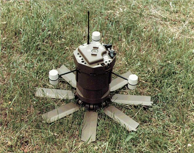 hornet2-사진  이시우  2003/07/13  417